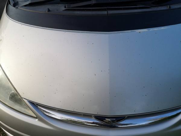 Bonnet of the silver FPS382 Toyota Estima, showing the paint condition
