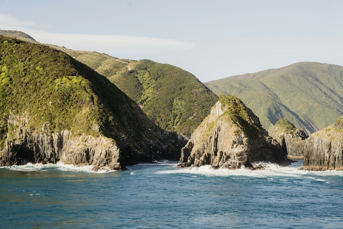 Bays and green hills of the Marlborough Sounds