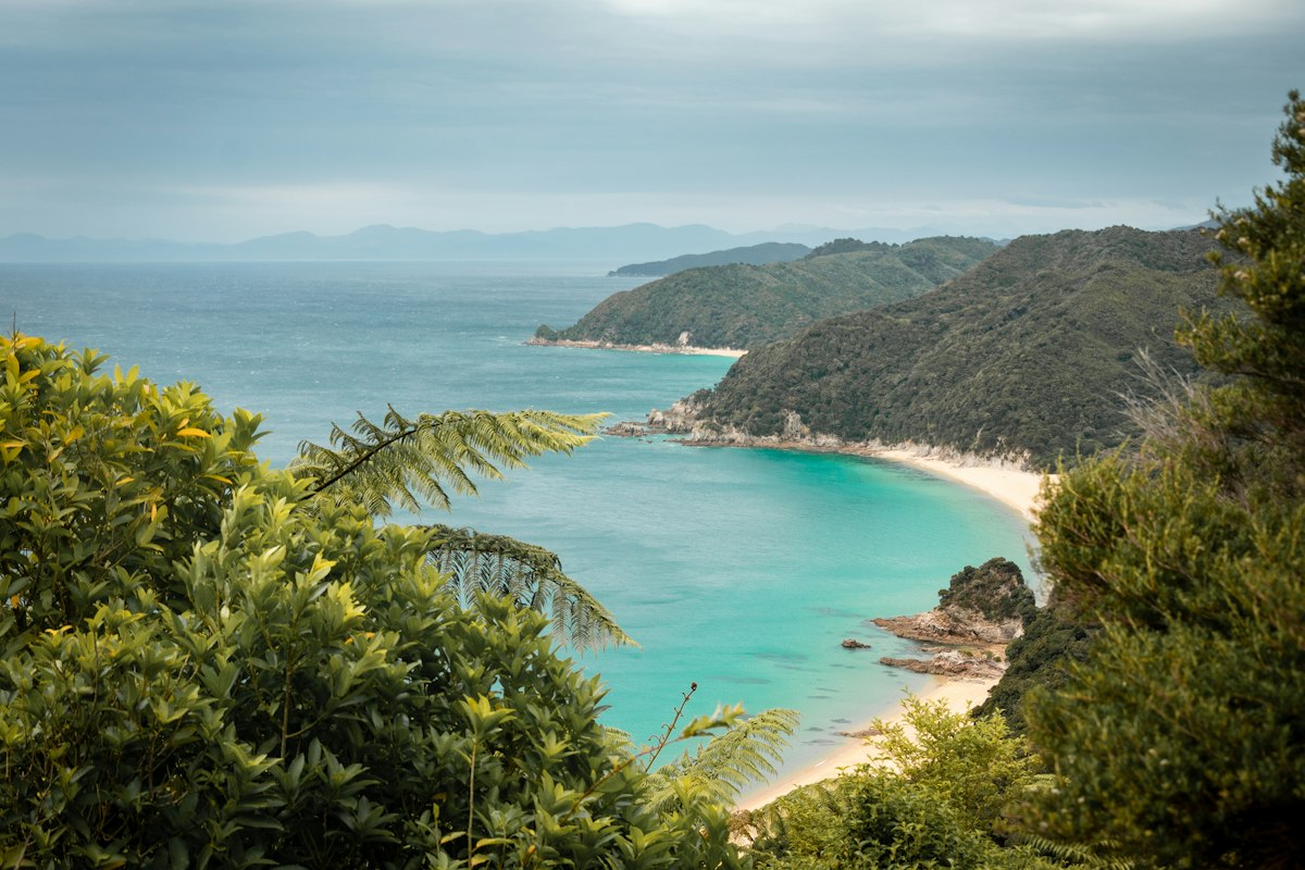 Golden beach and turquoise water in Abel Tasman National Park